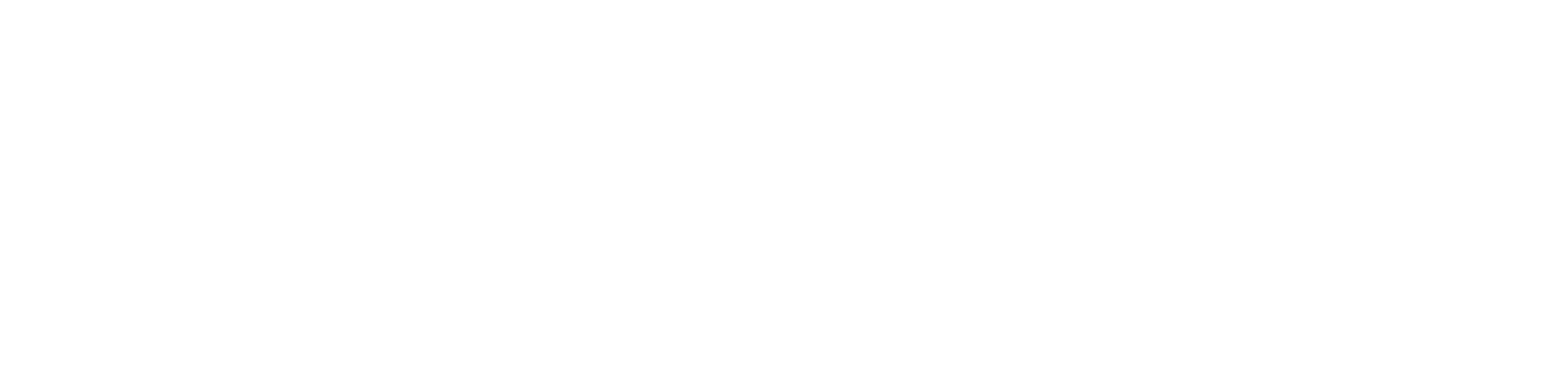 White logo - no background no tagline